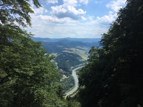 a view of a river in a valley with trees at Apartamenty w Jurgowie Świstokówka in Jurgów