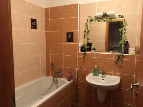 Koupelna v ubytování Apartman c.8 Magnolie