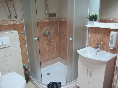 a bathroom with a shower and a toilet and a sink at Cernogoriya voyage in Rafailovici