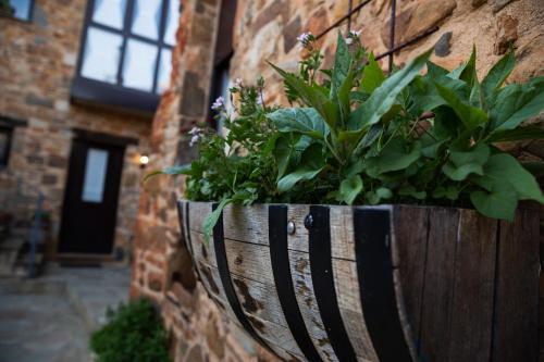 a wooden planter on a wall with plants in it at Casa Magüeto in Combarros