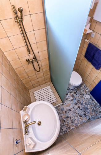 a bathroom with a shower with a toilet and a sink at Ribizli Vintage Vendégház in Parád