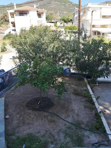 Φυσικό τοπίο κοντά σε αυτός ο ξενώνας