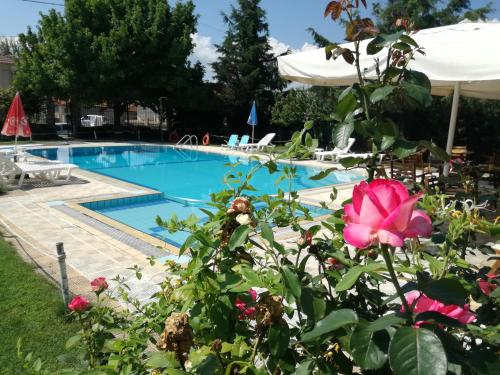 a swimming pool with a pink flower in the foreground at Prespa Resort & Spa in Platy