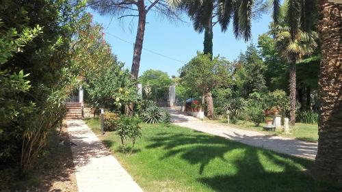 a garden with palm trees and a path at Affittacamere Tory in Sirolo