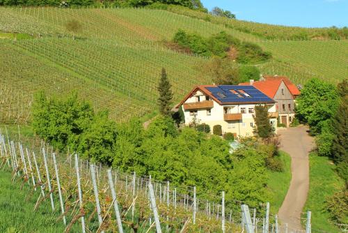 a house on a hill next to a vineyard at Ferienwohnung Kraft in Untersteinbach
