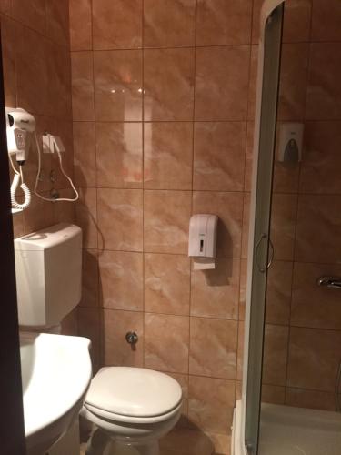 a bathroom with a toilet and a shower at Garden House in Apatin
