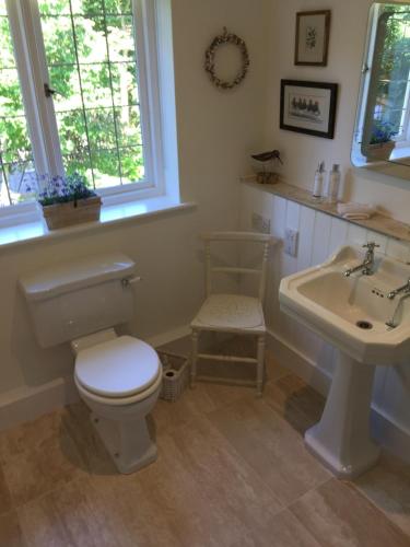 a bathroom with a toilet and a sink at Tirol House in Thakeham