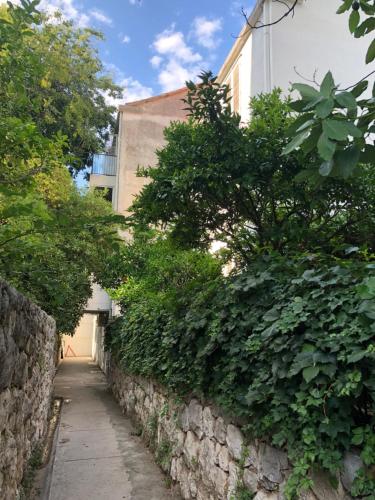 un muro di pietra accanto a un edificio alberato di Dubrovnik Summer Industry Apartment a Dubrovnik