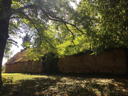 Un jardín fuera de Pension Richter