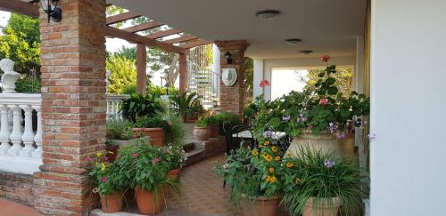 a greenhouse filled with lots of plants and flowers at Hotel Ristorante Radar in Carrara