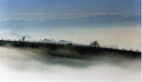 a fence on top of a hill in the fog at Cà 'd Langa B&B in Treiso