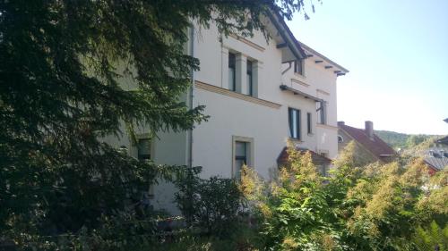a white building with trees in front of it at Villa Heimburg in Thale