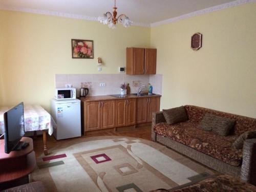 a living room with a couch and a kitchen at Hercules in Truskavets