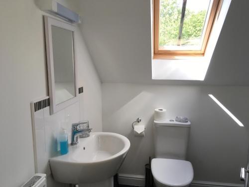 a white bathroom with a sink and a toilet at Ty Glo Cottage in Brecon