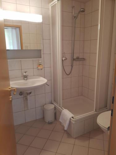 La salle de bains est pourvue d'une douche, d'un lavabo et de toilettes. dans l'établissement Hotel Restaurant Edelweiss, à Mühlen