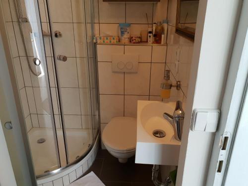 a bathroom with a shower and a toilet and a sink at Waldshut-Zentrum in Waldshut-Tiengen
