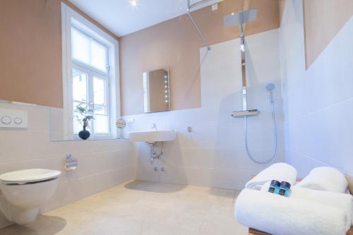 a bathroom with a toilet and a sink and a shower at GDA Hotel Schwiecheldthaus in Goslar