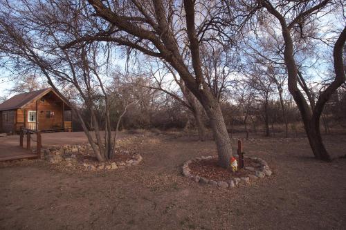 a group of trees in front of a cabin at Katie's Cozy Cabins in Tombstone