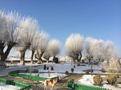 Iksir Resort Town – Photos 5