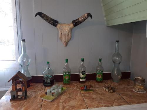 a group of glass bottles on a counter with a skull at Les GREVILLEAS in La Plaine des Cafres