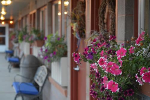 a row of flowers on the side of a building at Lariat Motel in Hardin