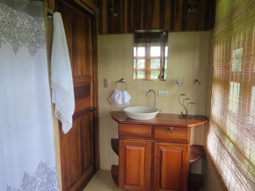 a small bathroom with a sink and a window at Cabaña rodeada de naturaleza en San Carlos in Quesada