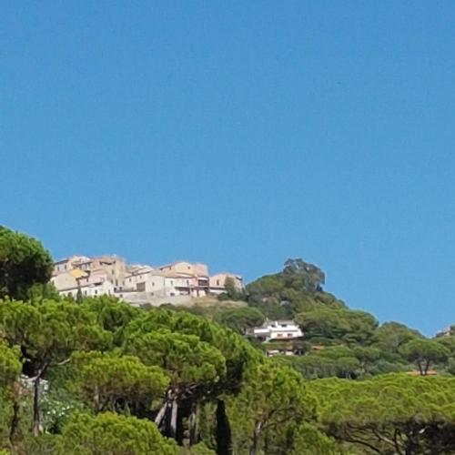 a house on top of a hill with trees at Rosa dei Venti Est in Capoliveri