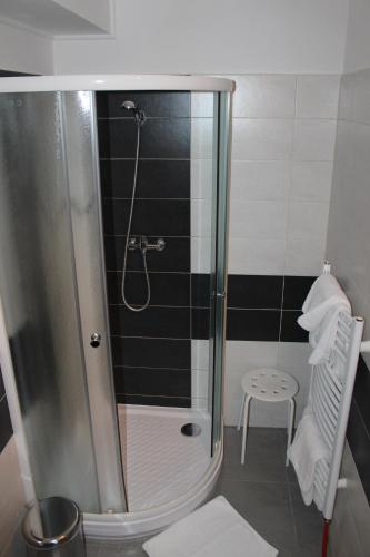 a shower with a glass door in a bathroom at Hotel Berger in Kamenice nad Lipou