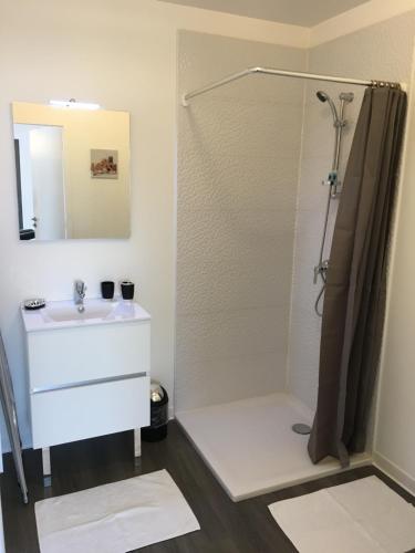 La salle de bains est pourvue d'un lavabo et d'une douche. dans l'établissement Charmant studio pour étudiant seul ou à 2, à Villeneuve-lès-Maguelone