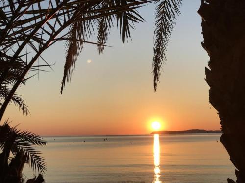 a sunset over the water with a palm tree at Alkioni Sea View Apartment in Kato Zakros