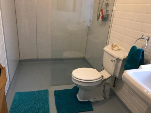 La salle de bains est pourvue de toilettes et d'un lavabo. dans l'établissement Pen y Crug Cottage, à Llanafan-fawr
