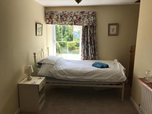 Un pat sau paturi într-o cameră la Pen y Crug Cottage