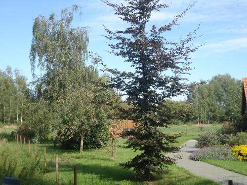 Taman di luar B&B Morskershoeve