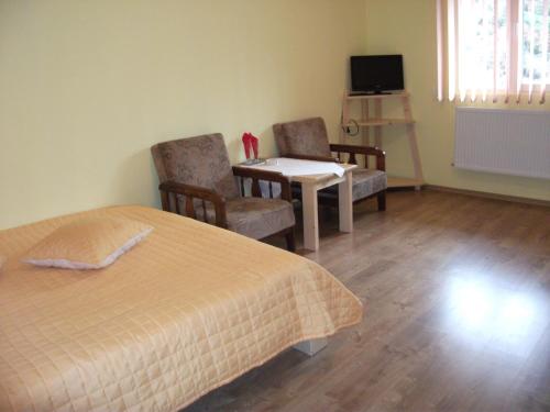 a bedroom with a bed and two chairs and a table at Vila Sport Borsec in Borsec