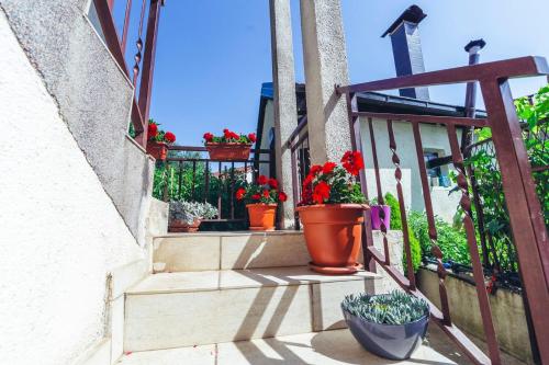 a group of potted plants sitting on a balcony at Music Time Apartment in Imotski
