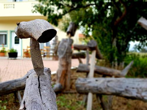 Φωτογραφία από το άλμπουμ του Maison Kronio Lassithi Plateau στο Μαρμακέτο