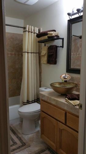 a bathroom with a toilet and a sink at Yosemite Foothill Retreat in Coarsegold