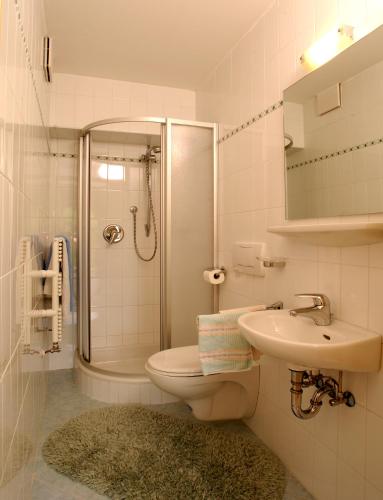 a bathroom with a toilet and a sink and a shower at Villa Insam Apartment in Selva di Val Gardena