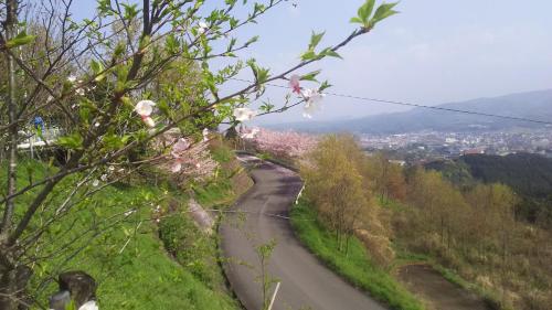 a road with flowers on the side of a hill at Joy House in Imari