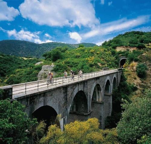 a group of people riding bikes on a bridge at Hostal Can Barrina in Arnés