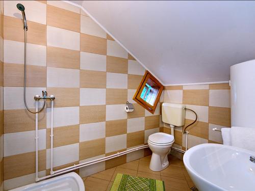 a bathroom with a toilet and a sink at Pensiunea Bobu in Izvoru Muntelui