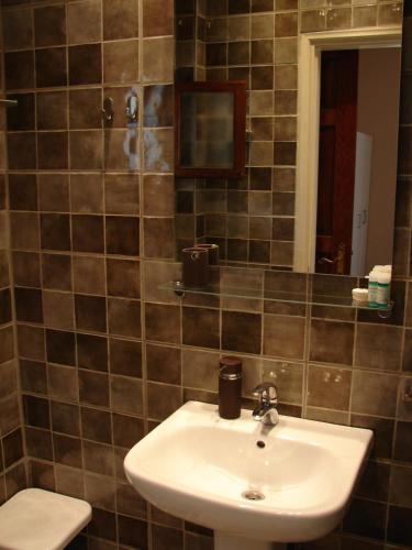 bagno con lavandino, servizi igienici e specchio di Mandaniki Apartments a Vassilias
