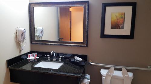 a bathroom with a sink and a mirror and a toilet at Baymont by Wyndham Belleville Airport Area Free Airport Shuttle in Belleville