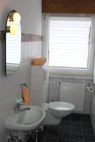 a bathroom with a sink and a toilet at Landhaus Schlossberg in Medebach