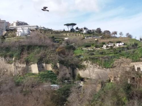 B&B Napoli Leggendaria - Breakfast included
