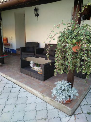 a living room with a couch and some plants at Slovácká chalupa in Ratíškovice
