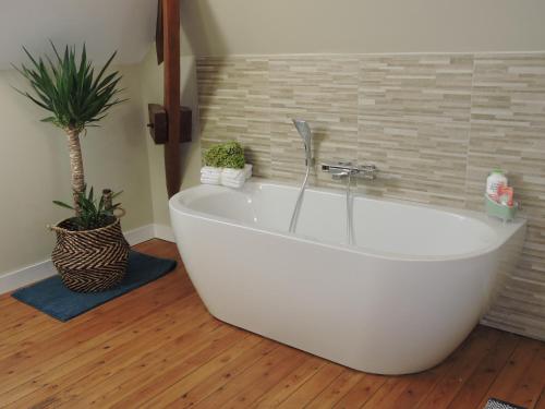 una vasca da bagno bianca in una stanza con una pianta di Logis du Petit Dodo a Sainte-Jamme-sur-Sarthe