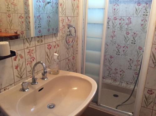 une salle de bain avec un lavabo et une douche dans l'établissement Maison Ile de Re, à La Couarde-sur-Mer