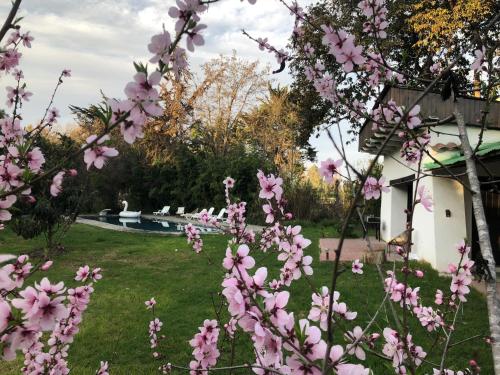 a garden with pink flowers in front of a house at The White House by Casona Lo Aguirre - El Monte RM in Talagante