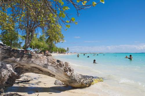 a group of people in the water at a beach at Locastudio - Carambole in Sainte-Anne